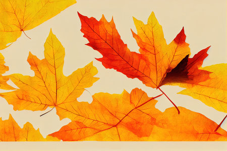 Minimal composition with painted yellow maple leaf on orangeの素材