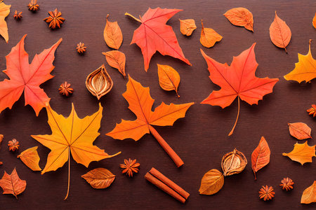 Autumn background with shadow of the maple tree leavesの写真素材