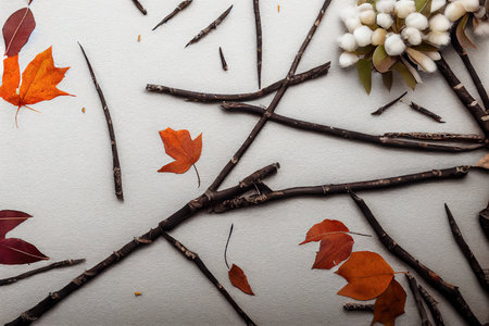 Autumn composition Spica ears, cotton flowers, plaid on whiteの写真素材