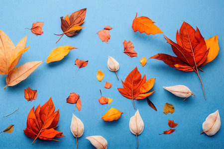 Autumn composition Pumpkins, candles, dried leaves on white backgroundの写真素材