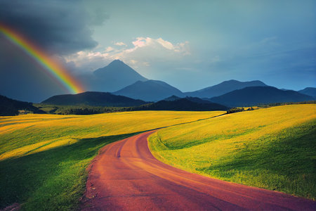 Amazing scene in summer mountains. Lush green grassy meadowsの素材