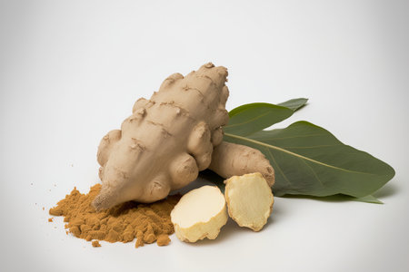 Isolated cassava root on a white backdropの素材