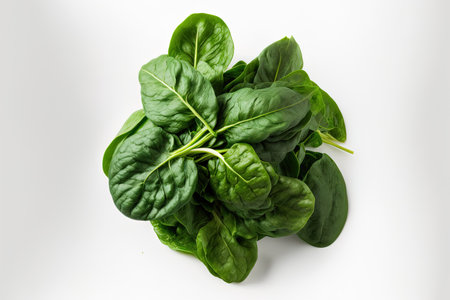 Bunch of green spinach, top view, isolated on whiteの素材
