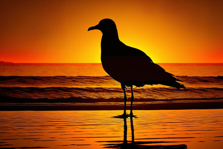 Seagull silhouette on the front sea with an orange sunsetの素材