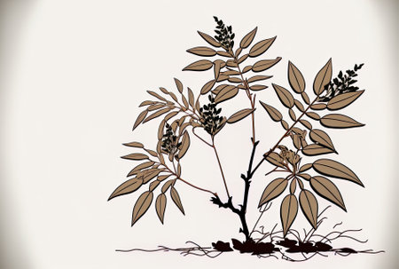 a white background with a close up of a rare brown plantの素材