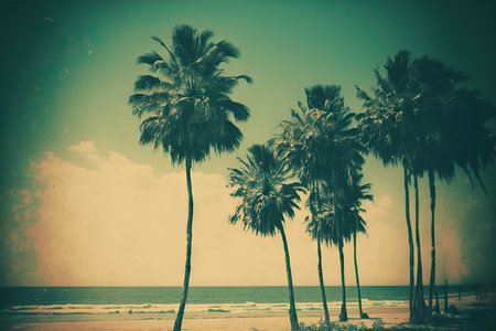 Vintage tones and film styled images of palm trees along a tropical coastの素材