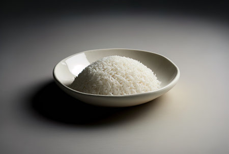 Raw rice within a dish, front view, against a neutral backgroundの素材