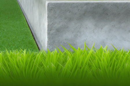 a close up of the green lawn and concrete borderの素材
