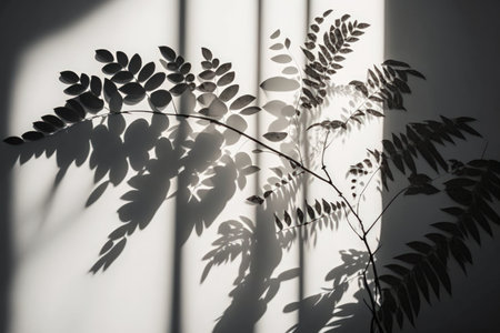 White background with natural leaves and a falling branch on a wall in an abstract silhouette. early sun light casting a transparent hazy shadow on tropical plantsの素材