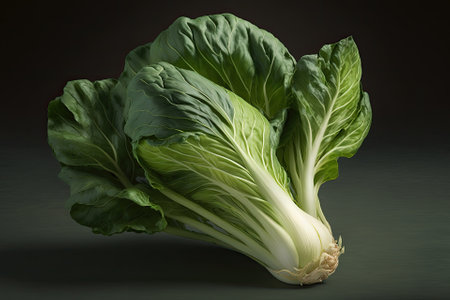 Bok choy is an organic vegetable that was tested and environmental data was collected at a greenhouse farm garden. Generative AIの素材