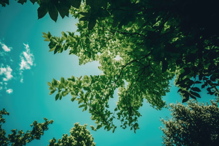 Greenery and a clear sky. Generative AIの素材