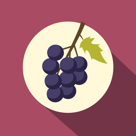 Vector of a white plate with a bunch of grapes on itの素材