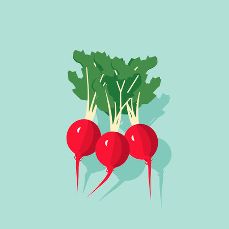Vector of a bunch of radishes on a blue backgroundの素材