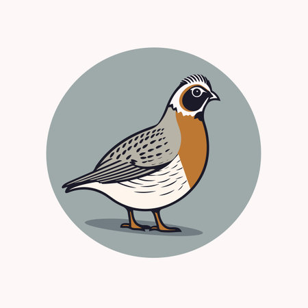 Vector of a bird standing in the center of a circular shapeの素材