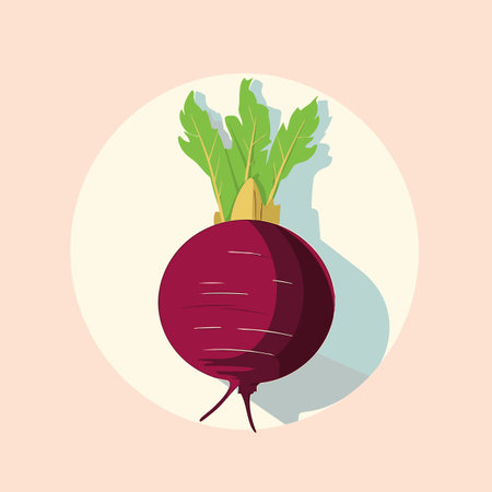 Vector of a radish icon on a vibrant pink backgroundの素材
