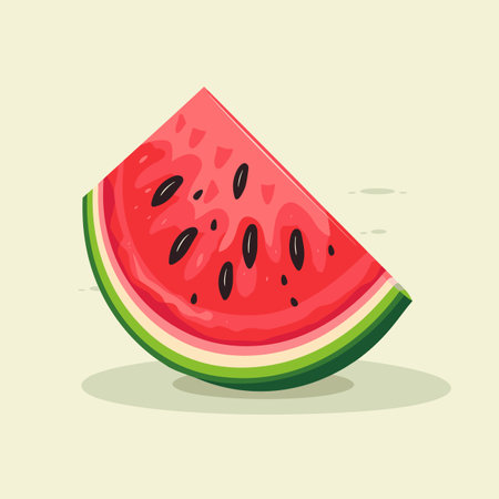 Vector of a watermelon slice on a white background - vector illustrationの素材