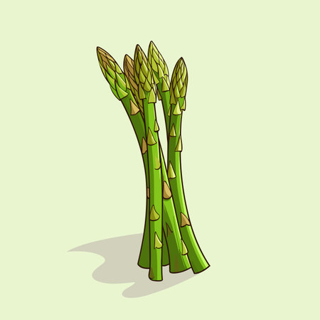 Vector of green asparagus on a light green backgroundの素材