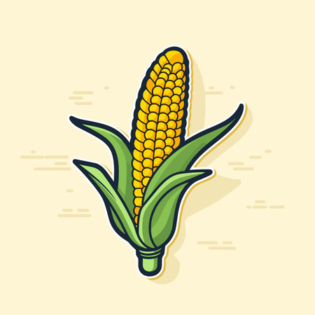 Vector of a flat icon of a corn on the cob on a yellow backgroundの素材
