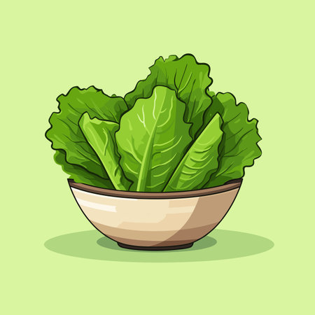 Vector of a bowl of lettuce on a green backgroundの素材