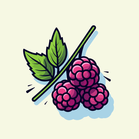 Vector of fresh raspberries with leaves on a clean white background