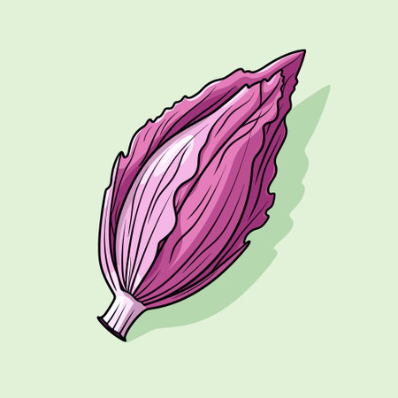 Vector of a vibrant purple cabbage on a vivid green backgroundのイラスト素材