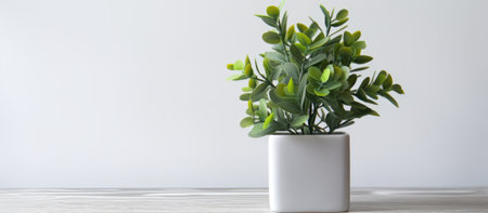 A small houseplant in a white flowerpot decorates the tableの素材