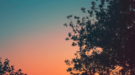 A plane flies over a tree at duskの素材