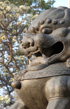 Chinese lionの写真素材