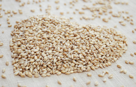 love is wheat の写真素材