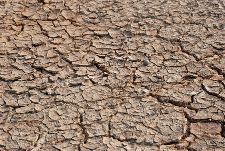 drought  dry desert disaster and dead