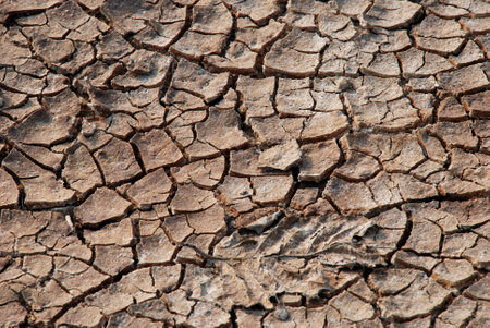 drought  dry desert disaster and dead