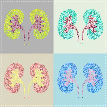 Illustration of a pattern of Kidney in various colors