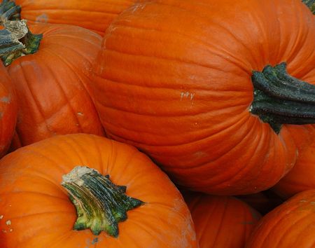 Some orange pumpkinsの写真素材