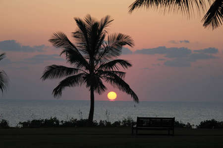  Tropical Sunriseの写真素材
