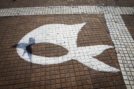 The symbol of the Madres de la Plaza de Mayo Association painted in the floor of the Plaza de Mayo in Buenos Aires, Argentina, with the shadow of a dove.の写真素材