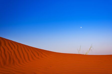 Detail of a red dune in Namibia, Africaの写真素材