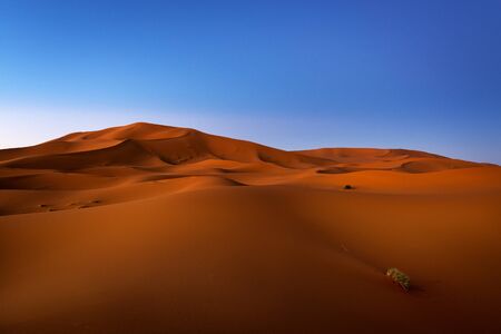 View of the dunes at dawn in Erg Chebbi near Merzouga in Morocco, North Africa; Concept for travel in Moroccoの写真素材