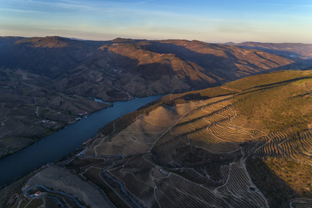 Aerial view of the vineyard and terraced slopes in the hills of the douro valley; Concept for travel in Portugal and in the Douro Valley, visit Portugal and most beautiful places in Portugalの素材 [FY31093363499]