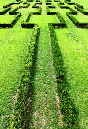 Detail of the Edward VII Park at Lisbonの写真素材