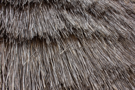 Straw roof backgroundの写真素材