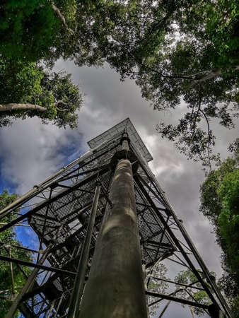 Photo of the observation tower of the Museum of the Amazon, a nature reserve located in the heart of the Amazon rainforest.の写真素材