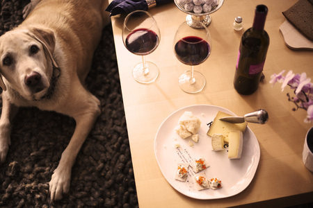 Romantic Dinnerの写真素材