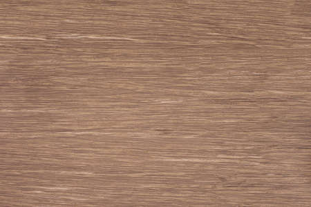 Wood backgroundの写真素材