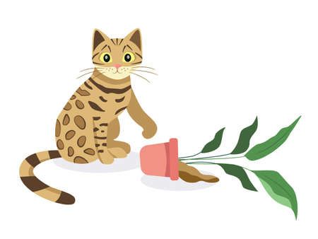 Bengal cat with a flower pot. Cartoon design.のイラスト素材