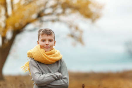 Boy in grey sweater and yellow scarf on a field in autumn day. Kid standing and smiling in grey...