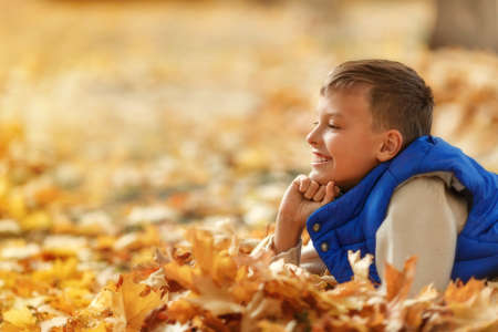 Happy boy in sweater laying on autumn leaves and looking at leaf. Autumn holiday time.の写真素材