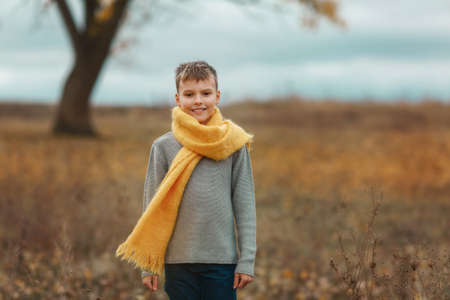 Boy in grey sweater and yellow scarf on a field in autumn day. Kid standing and smiling in grey...