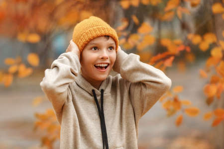 Boy with in a ginger hat in autumn day. Kid in yellow knitted hat is smiling and covering ears with hands. Behind the back of the boy magnificent yellow tree. close up portrait.の写真素材