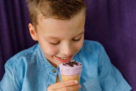 Cute boy eating ice cream and having fun on hammock outdoor. Child staying cool in the summer heat. Kid resting on a hammock.の写真素材