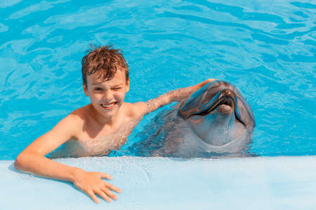 A portrait of a boy and dolphin in the swimming pool. Kid and dolphin communication.の写真素材